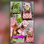 HD GS2PX-PGC170 GS2PX-PGC_hd_vid_1