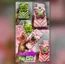 HD GS2PX-PGC170 GS2PX-PGC_hd_vid_1